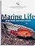 Marine Life of the Pacific & Indian Oceans by Gerald Allen