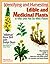 Identifying and Harvesting Edible and Medicinal Plants
