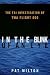 In the Blink of an Eye