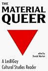 The Material Queer: A Lesbigay Cultural Studies Reader (Queer Critique)