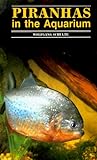 Piranhas in the Aquarium