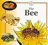 The Bee (Life Cycles)