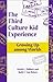 The Third Culture Kid Experience by David C. Pollock