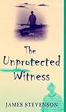 The Unprotected Witness