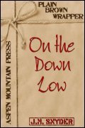 On the Down Low (ebook)