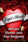 Cupid's Arrow (Kindle Edition)