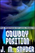 Cowboy Position (The Positions of Love, #6)