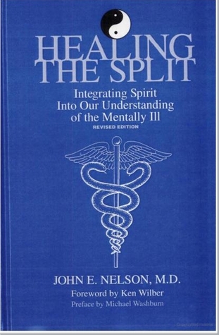 Healing the Split: Integrating Spirit Into Our Understanding of the Mentally Ill (Hardcover)