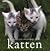 De mooiste uitspraken over katten