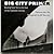 Big City Primer: Reading New York at the End of the Twentieth Century
