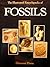 The Illustrated Encyclopedia of Fossils