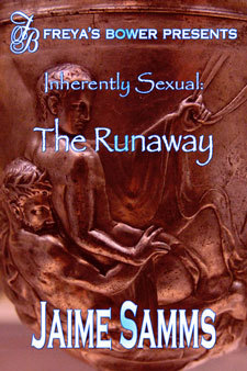 The Runaway (ebook)