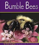 Bumble Bees (Insects)