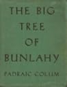 The Big Tree of Bunlahy: Stories of My Own Countryside