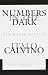Numbers In The Dark by Italo Calvino
