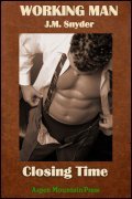 Closing Time (Working Man, #12)