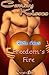Freedom's Fire (Freedom, #2.1)
