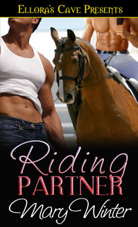 Riding Partner (Kindle Edition)
