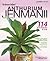 Anthurium Jenmanii : Si Emas Hijau, 114 Jenis Populer dan Unik