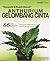 Anthurium Gelombang Cinta : Terpopuler dan mudah dikenali,66 Jenis dan Karakter khusus