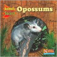 Opossums (Animals That Live in the Forest)