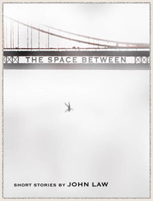 The Space Between (Paperback)