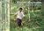 Domesticating forests: how farmers manage forest resources