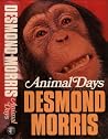 Animal days