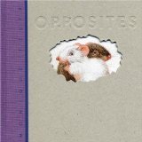 The Opposites (Library Binding)