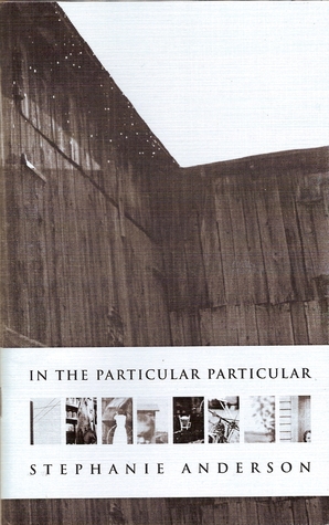 In the particular particular (chapbook)