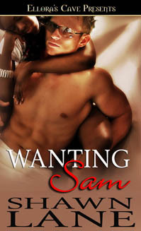 Wanting Sam (Kindle Edition)