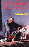 Little Ironies: Stories of Singapore