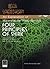 An Explanation of  Four Principles of Shirk by Abu Ammaar Yasir Qadhi