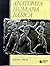 Anatomia humana básica by Alexander P. Spence