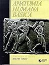 Anatomia humana básica Anatomia humana básica