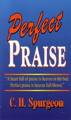 Perfect Praise