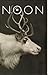 NOON 09