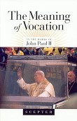 The Meaning of Vocation (Paperback)