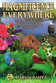 Magnificence Everywhere