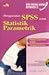 Seri Solusi Bisnis Berbasis TI: Menggunakan SPSS untuk Statistik Parametrik (Paperback)