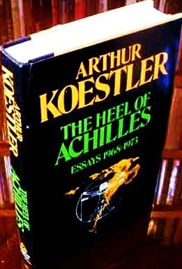 The wrath of achilles summary image