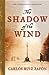 The Shadow of the Wind by Carlos Ruiz Zafón