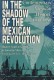 In the Shadow of the Mexican Revolution: Contemporary Mexican History, 1910–1989