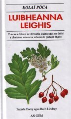 Luibheanna Leighis (Paperback)