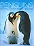 Penguins: Lifestyle, Habita...