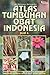 Atlas Tumbuhan Obat Indonesia 4