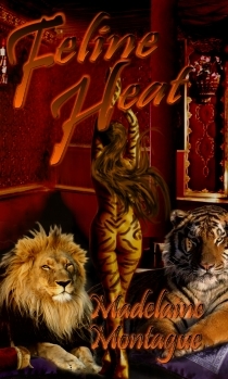 Feline Heat (Paperback)