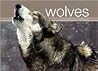 Wolves A Photographic Celebration Wolves A Photographic Celebration