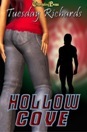 Paranormal Investigations Team: Hollow Cove (Kindle Edition)