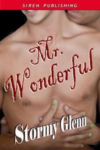 Mr. Wonderful (Sweet Perfection, #2)